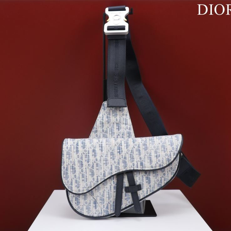 Christian Dior Saddle Bags - Click Image to Close